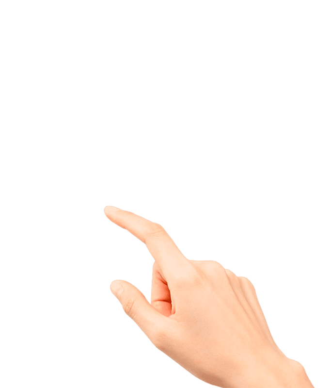 a1